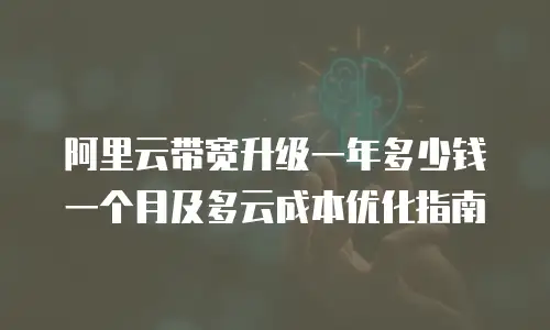 阿里云带宽升级一年多少钱一个月及多云成本优化指南