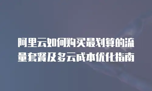 阿里云如何购买最划算的流量套餐及多云成本优化指南