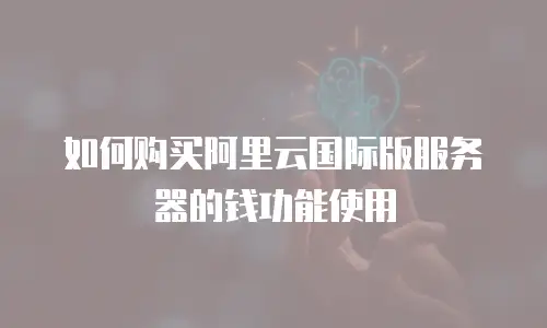 如何购买阿里云国际版服务器的钱功能使用