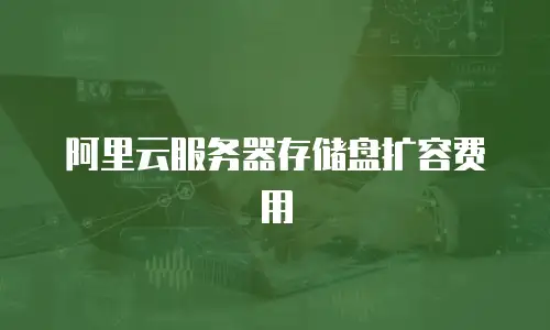 阿里云服务器存储盘扩容费用