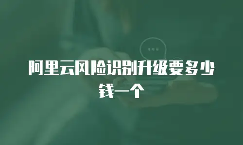 阿里云风险识别升级要多少钱一个