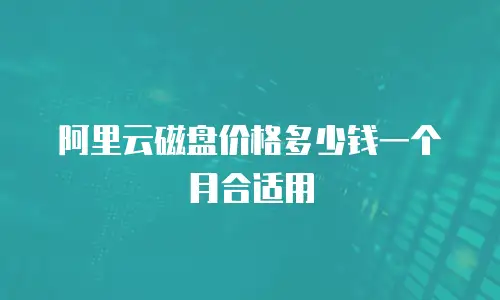 阿里云磁盘价格多少钱一个月合适用