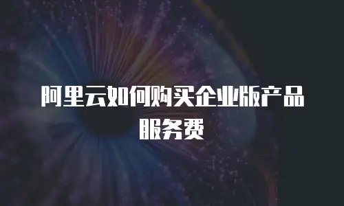 阿里云如何购买企业版产品服务费