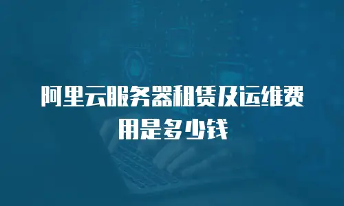 阿里云服务器租赁及运维费用是多少钱