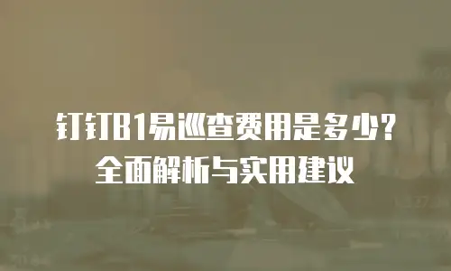 钉钉B1易巡查费用是多少？全面解析与实用建议