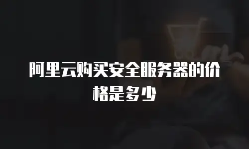 阿里云购买安全服务器的价格是多少
