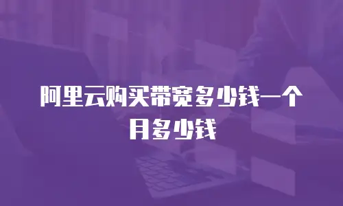 阿里云购买带宽多少钱一个月多少钱