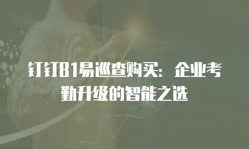 钉钉B1易巡查购买：企业考勤升级的智能之选