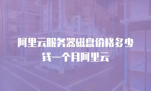 阿里云服务器磁盘价格多少钱一个月阿里云