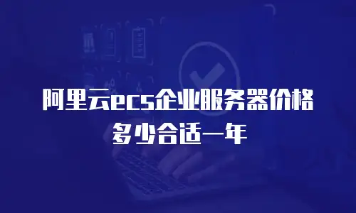 阿里云ecs企业服务器价格多少合适一年