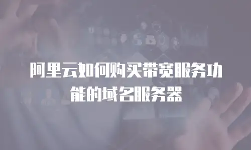 阿里云如何购买带宽服务功能的域名服务器