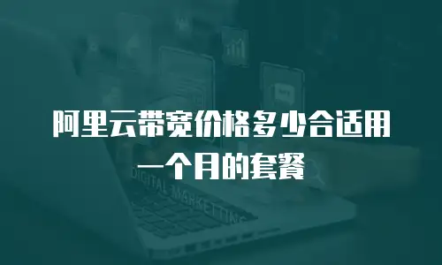 阿里云带宽价格多少合适用一个月的套餐
