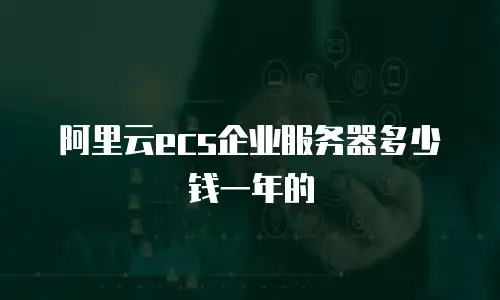 阿里云ecs企业服务器多少钱一年的
