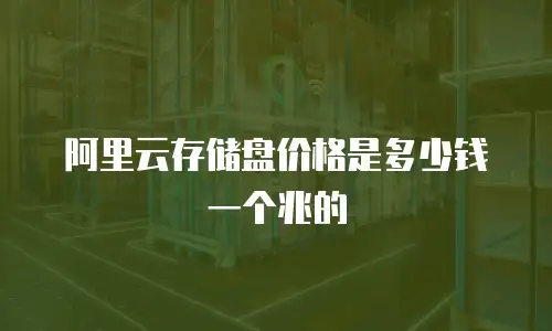 阿里云存储盘价格是多少钱一个兆的