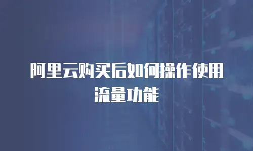 阿里云购买后如何操作使用流量功能
