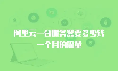 阿里云一台服务器要多少钱一个月的流量