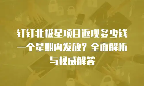 钉钉北极星项目返现多少钱一个星期内发放？全面解析与权威解答
