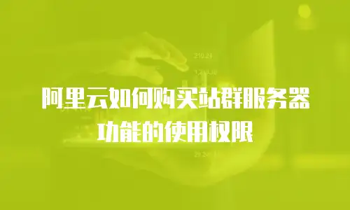 阿里云如何购买站群服务器功能的使用权限