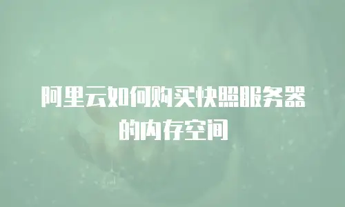 阿里云如何购买快照服务器的内存空间