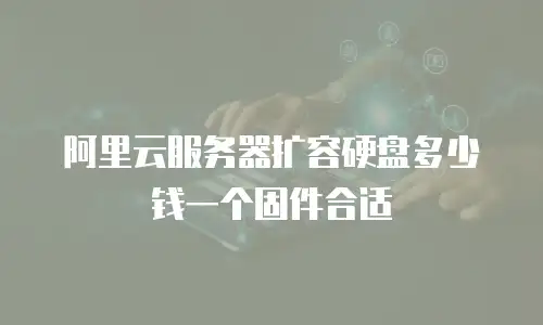 阿里云服务器扩容硬盘多少钱一个固件合适