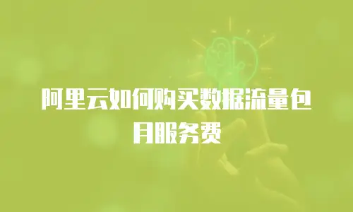 阿里云如何购买数据流量包月服务费
