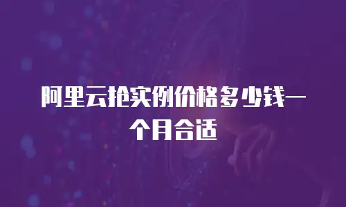 阿里云抢实例价格多少钱一个月合适