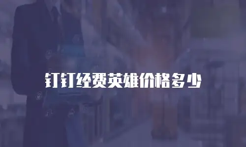 钉钉经费英雄价格多少