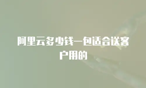 阿里云多少钱一包适合送客户用的