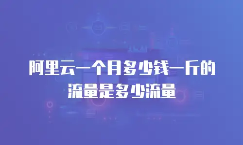 阿里云一个月多少钱一斤的流量是多少流量