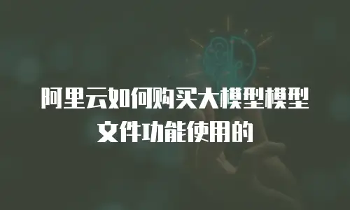 阿里云如何购买大模型模型文件功能使用的