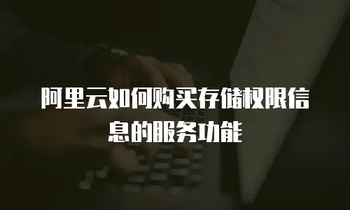 阿里云如何购买存储权限信息的服务功能