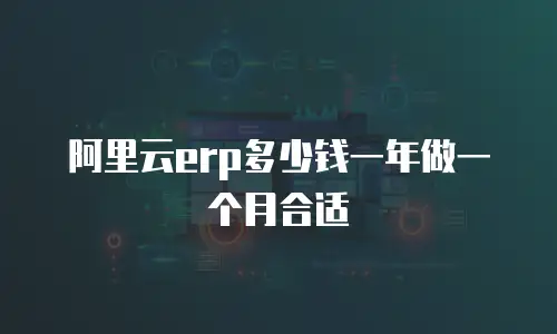 阿里云erp多少钱一年做一个月合适