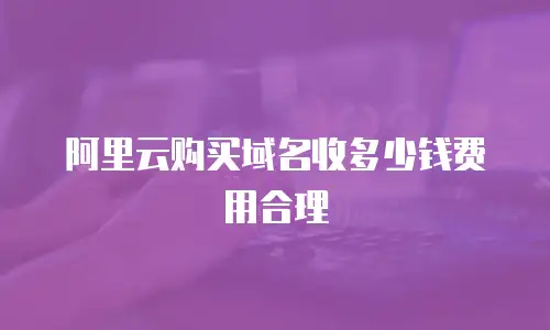 阿里云购买域名收多少钱费用合理