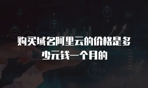 购买域名阿里云的价格是多少元钱一个月的