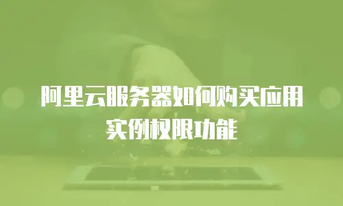 阿里云服务器如何购买应用实例权限功能