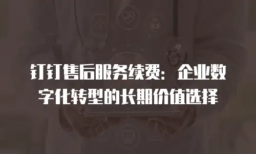 钉钉售后服务续费：企业数字化转型的长期价值选择