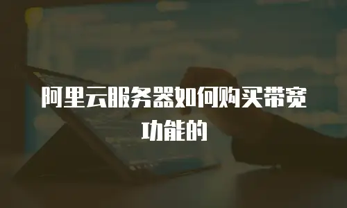 阿里云服务器如何购买带宽功能的