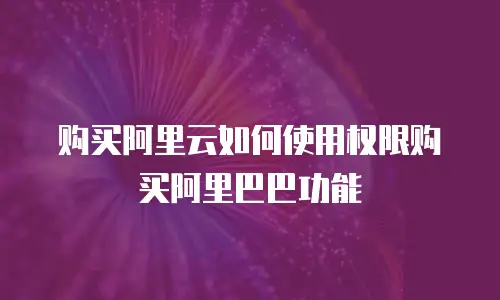 购买阿里云如何使用权限购买阿里巴巴功能