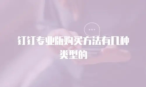 钉钉专业版购买方法有几种类型的