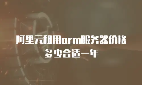 阿里云租用arm服务器价格多少合适一年