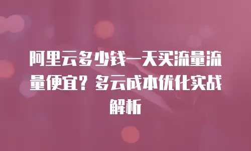 阿里云多少钱一天买流量流量便宜？多云成本优化实战解析