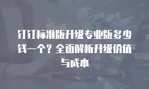 钉钉标准版升级专业版多少钱一个？全面解析升级价值与成本