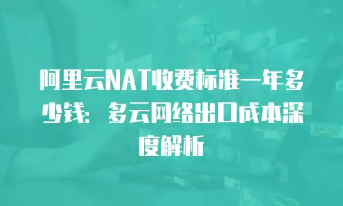 阿里云NAT收费标准一年多少钱：多云网络出口成本深度解析