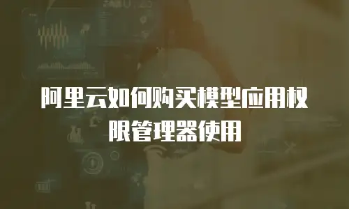 阿里云如何购买模型应用权限管理器使用
