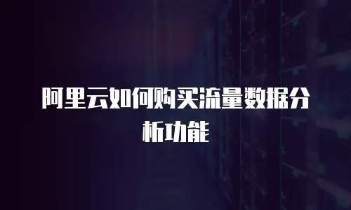 阿里云如何购买流量数据分析功能