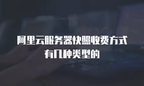 阿里云服务器快照收费方式有几种类型的