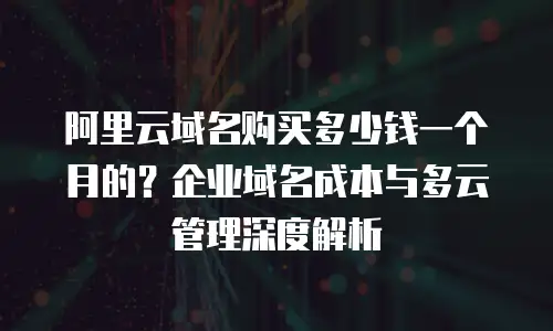 阿里云域名购买多少钱一个月的？企业域名成本与多云管理深度解析