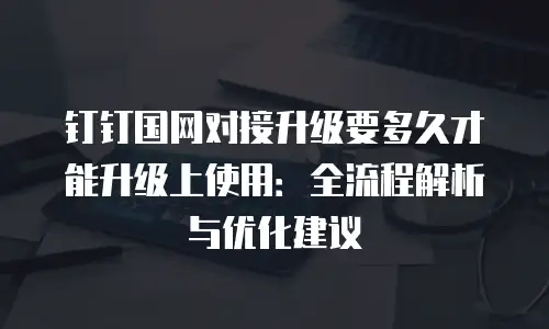 钉钉国网对接升级要多久才能升级上使用：全流程解析与优化建议