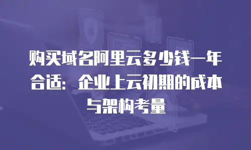 购买域名阿里云多少钱一年合适：企业上云初期的成本与架构考量
