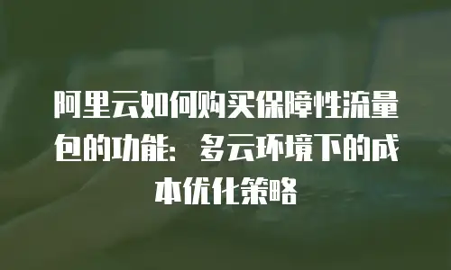 阿里云如何购买保障性流量包的功能：多云环境下的成本优化策略